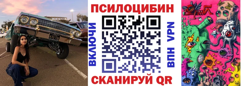 Купить где  Красноуральск  Галлюциногенные грибы GOLDEN TEACHER 